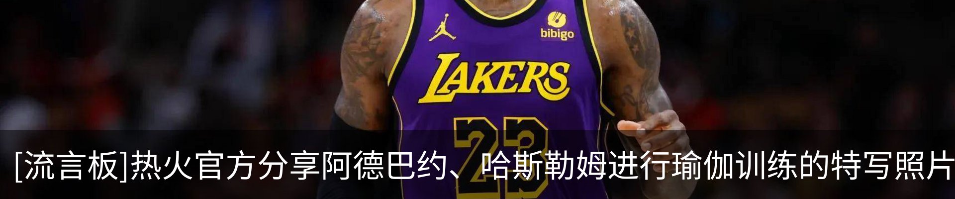 最新动态